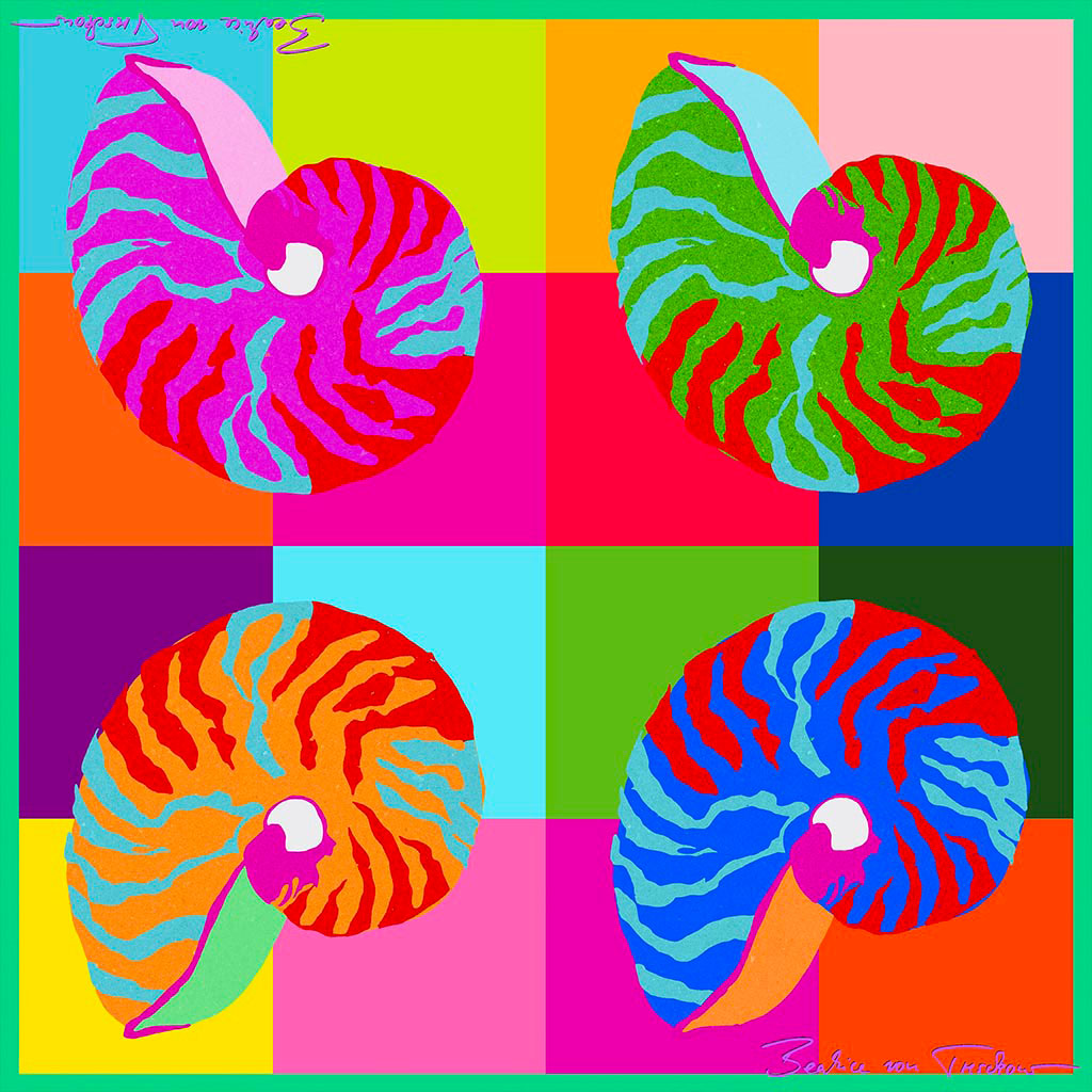 Moon Shell Square Silk Scarf